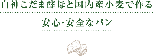 白神こだま酵母と国内産小麦で作る安心・安全なパン